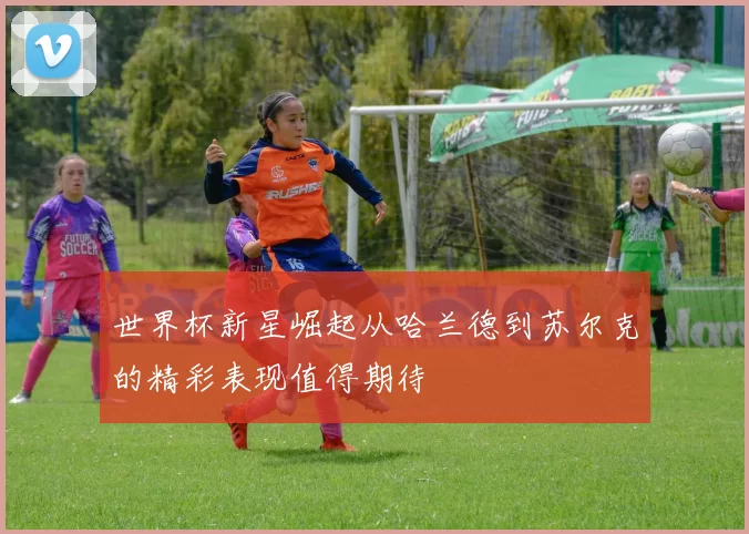 世界杯新星崛起从哈兰德到苏尔克的精彩表现值得期待